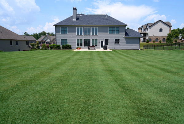 Green grass online lawn care