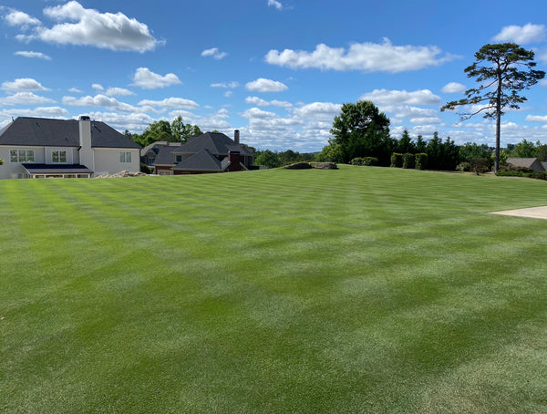 Killing weeds in lawn store without killing grass
