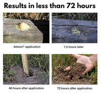 Advion Fire Ant Bait pictures showing ants being controlled by advion within 72 hours