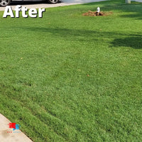 Pillar SC Liquid Fungicide - Brown Patch and Dollar Spot Control Lawn disease after Pillar SC