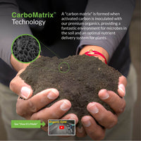 CarbonizPN™ - Top Dressing Soil Enhancer with Biochar CarbonizPN in hand