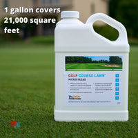 Golf Course Lawn Micronutrient Blend - Liquid Fertilizer (with 2% Iron) Golf Course Lawn Micros Gallon Coverage
