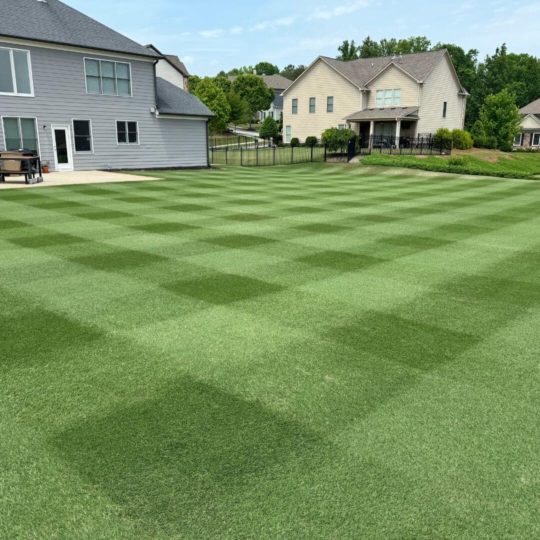 Golf Course Lawn