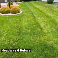 Headway G - Fungicide Granular Headway G Before