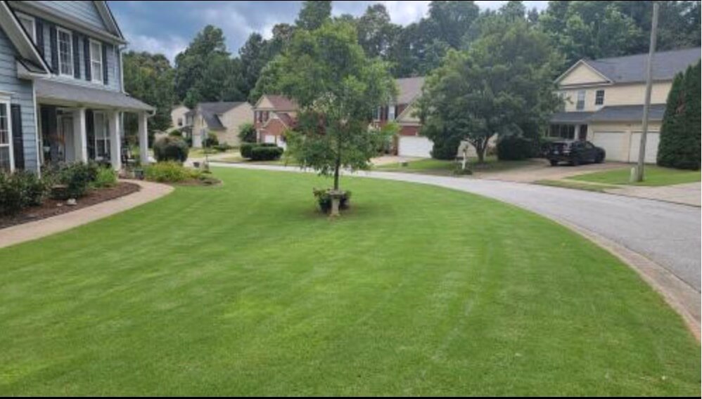 Green lawn along curved street