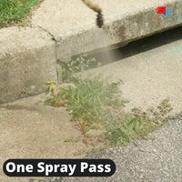 Organic Weed Control - Concentrate Spraying weeds in street