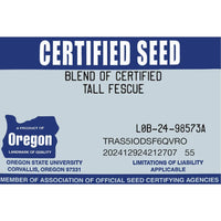 Premium Double Dark Green Turf Type Tall Fescue Grass Seed Premium Double Dark Green Turf Type Tall Fescue Grass Seed