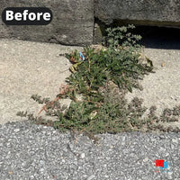 Organic Weed Control - Concentrate Weeds Before