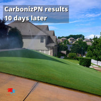 CarbonizPN™ - Top Dressing Soil Enhancer with Biochar CarbonizPN Results 10 days later