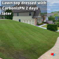 CarbonizPN™ - Top Dressing Soil Enhancer with Biochar CarbonizPN 2 days later