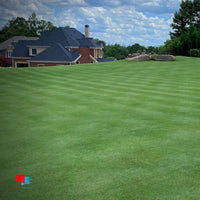 CarbonizPN-G™ - 2000 Lb Super Sack (50 Bag Equivalent) golf course lawn