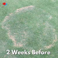Headway G - Fungicide Granular Large Patch lawn Fungus