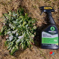 Organic Weed Control - Concentrate Organic Weed Control weed sprayed