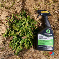 Organic Weed Control - Concentrate Organic Weed Control Weeds