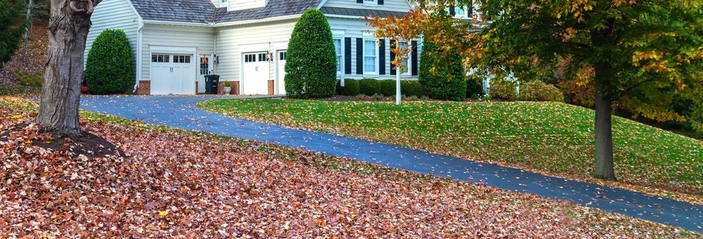 lawn leaves mulching vs raking comparison
