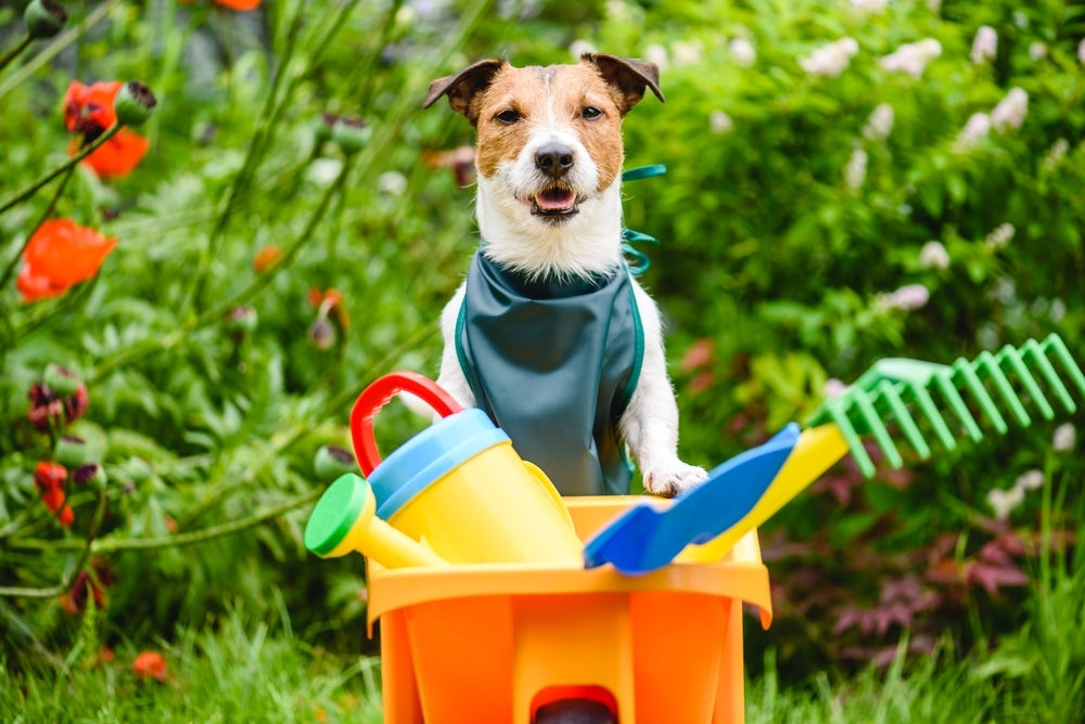 Pet Safe Lawn Care Products | Golf Course Lawn