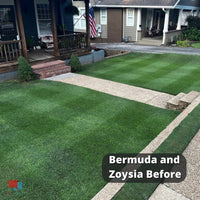 Bermuda and Zoysia Blended together
