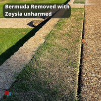 Bermuda and Zoysia After Fusilade II and Recognition Herbicide