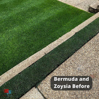 Bermuda and Zoysia Before Fusilade II and Recognition Herbicide