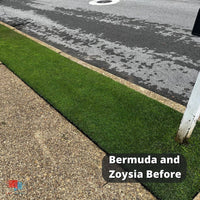 Bermuda and Zoysia Before Fusilade II and Recognition Herbicide