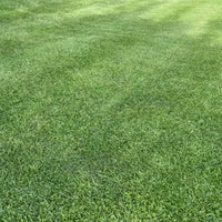 Customer Lawn 3