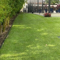 Customer Lawn 2