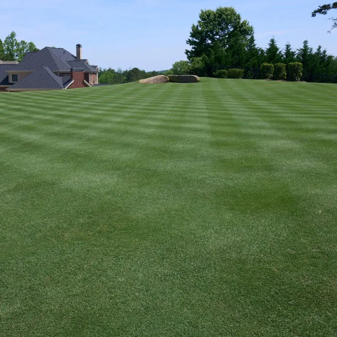 Golf course lawn with stripes