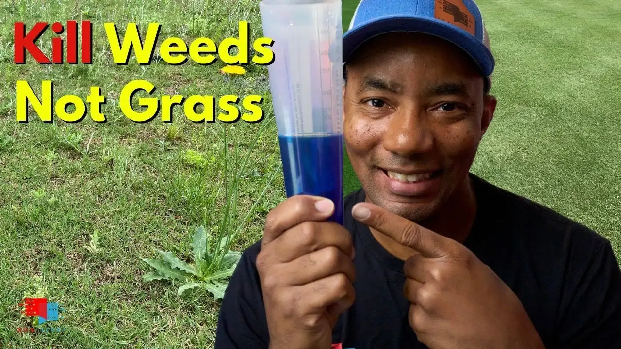 Kill weeds not grass