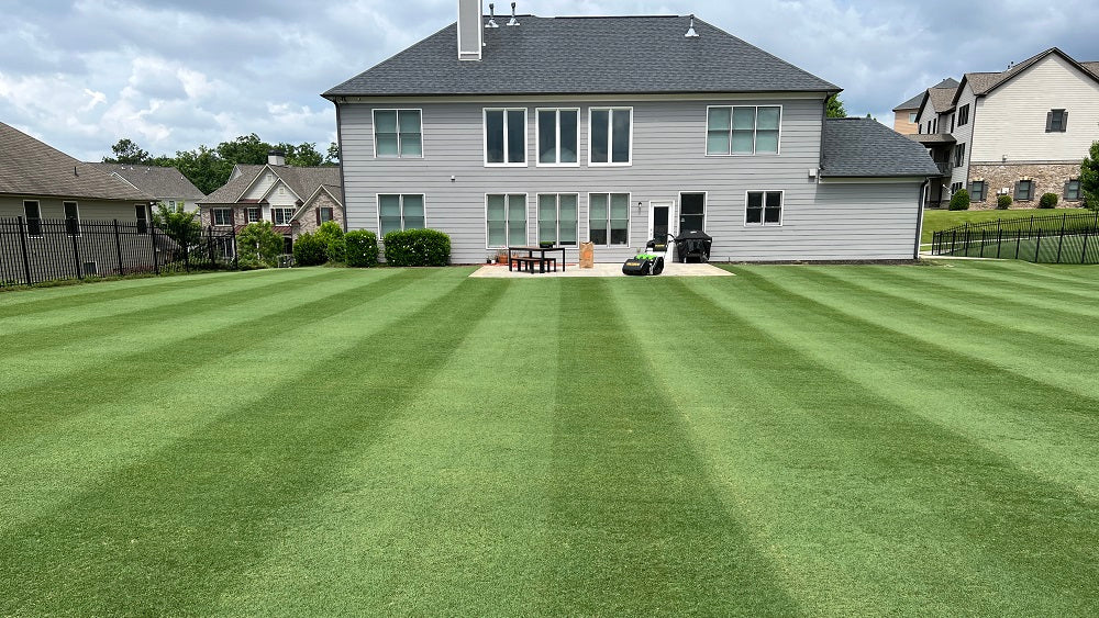 Golf Course Lawn