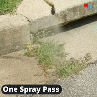 Spraying weeds in street