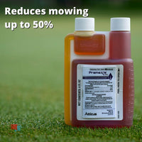 Pramaxis benefits