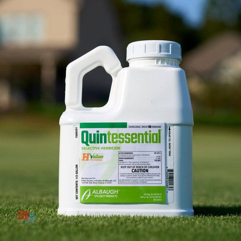 Crabgrass vs Goosegrass | Golf Course Lawn Store