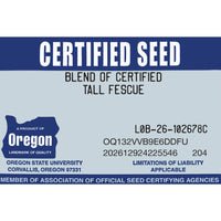 Premium Double Dark Green Turf Type Tall Fescue Grass Seed