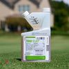 Triad Select Quart on Lawn