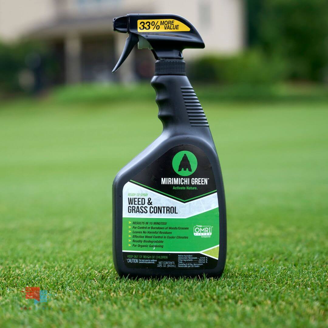 best selective herbicide for lawns Organic Weed Killer