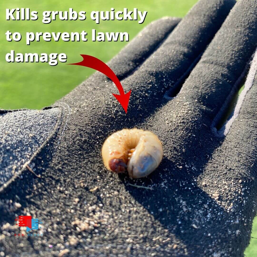 Caravan G Fungicide & Insecticide | Golf Course Lawn Store