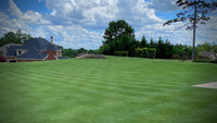Golf course lawn after Release ZERO