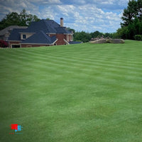 golf course lawn with humic max
