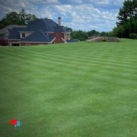 golf course lawn with stress 12-0-24 fertilzer