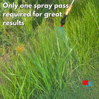 Spraying grass with herbicide