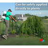 Spraying plants with Mirimichi Green Pest Control
